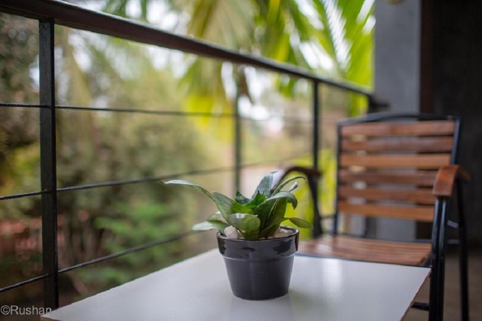 Apsara Greenland Boutique Hotel Siem Reap Eksteriør billede